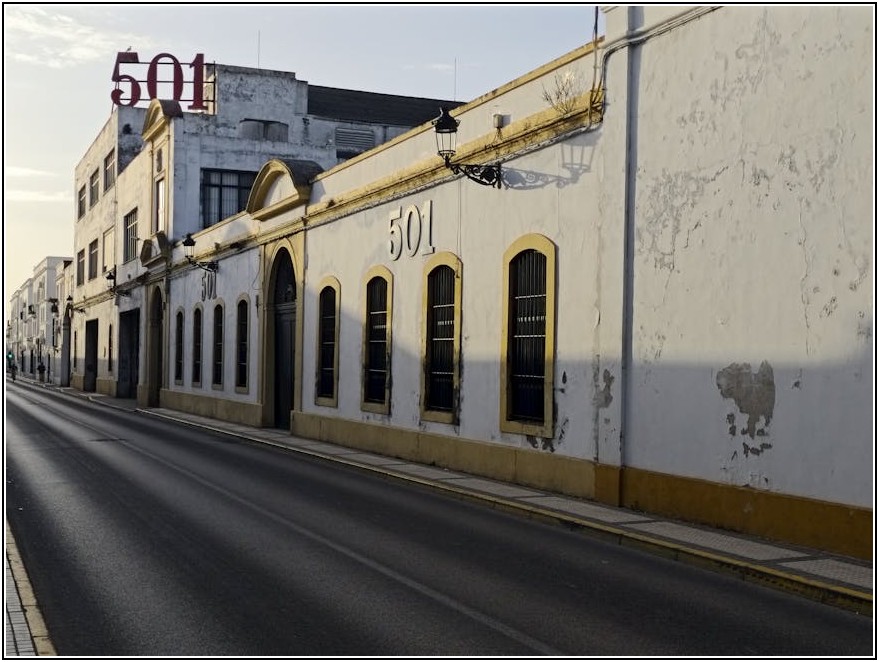 엘 로시오 축제, 모든 것을 알려드립니다
