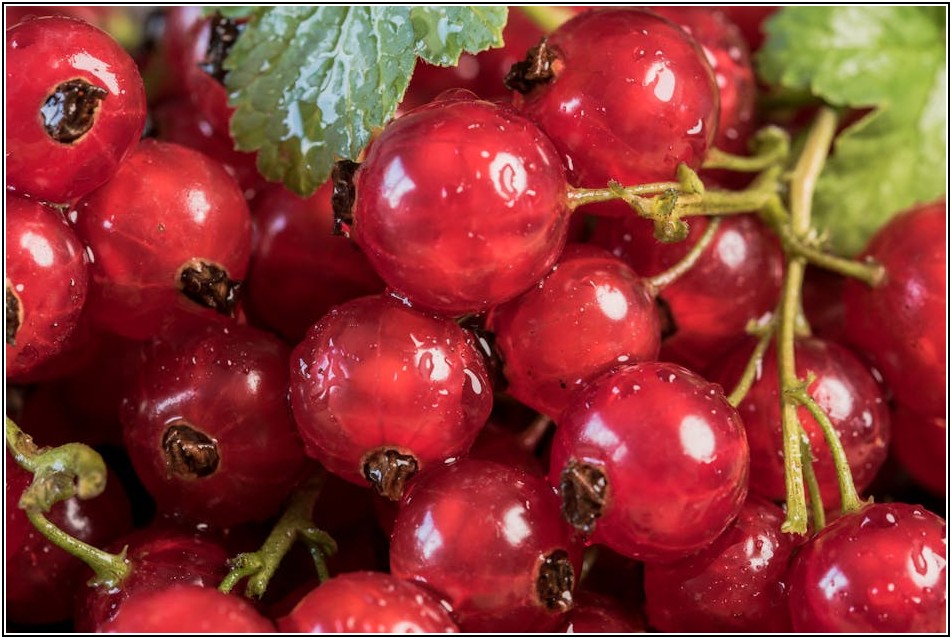 오늘 뭐 먹지? 고구마줄기볶음으로 잃었던 입맛 되찾기