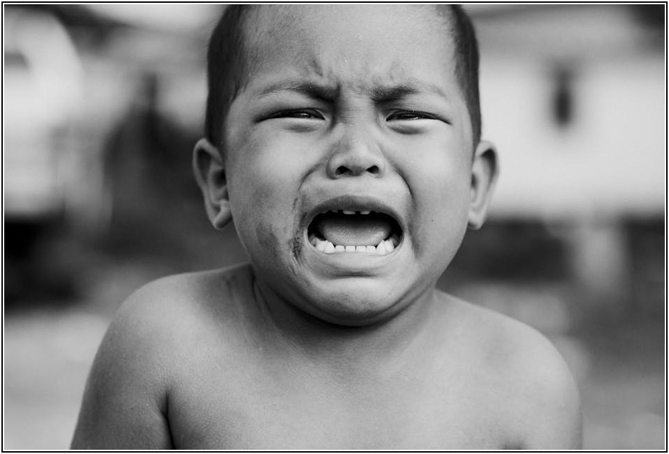 후회 없는 선택! 신한생명 종신보험, 변액과 일반 장단점 파헤치기