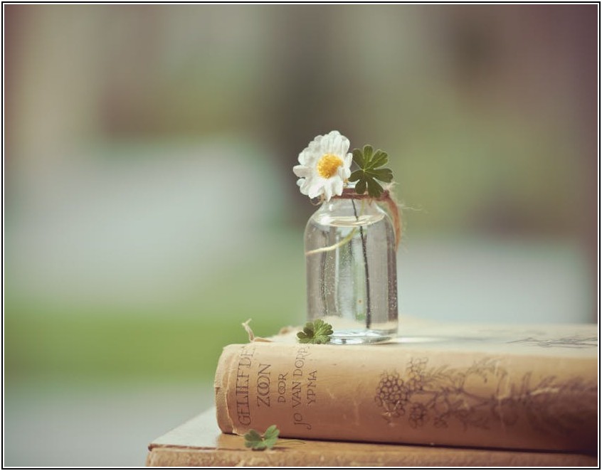 쉐이커통 청소, 어렵지 않아요: 완벽 가이드