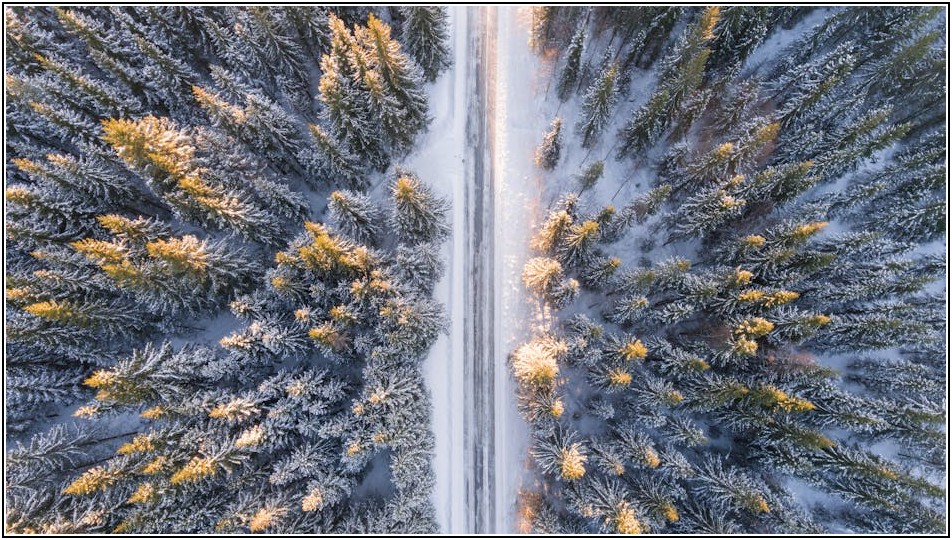 냉동 돈까스, 바삭함 살리는 황금 레시피