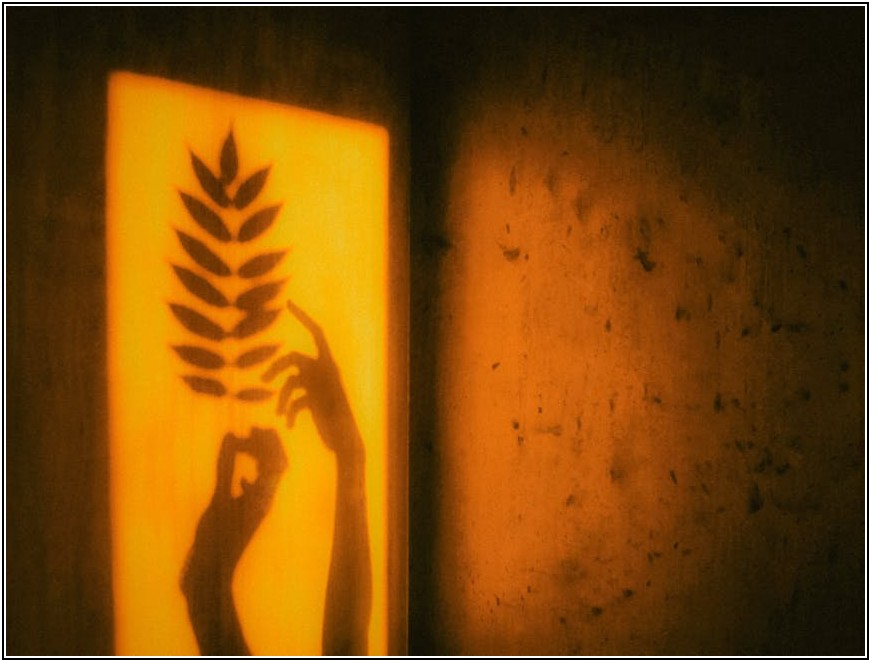 왕초보도 금손 되는 그림 그리기 학습 로드맵