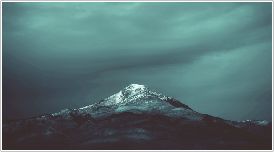 믿을 수 있는 저온 창고 구매, 필수 고려 사항 총정리