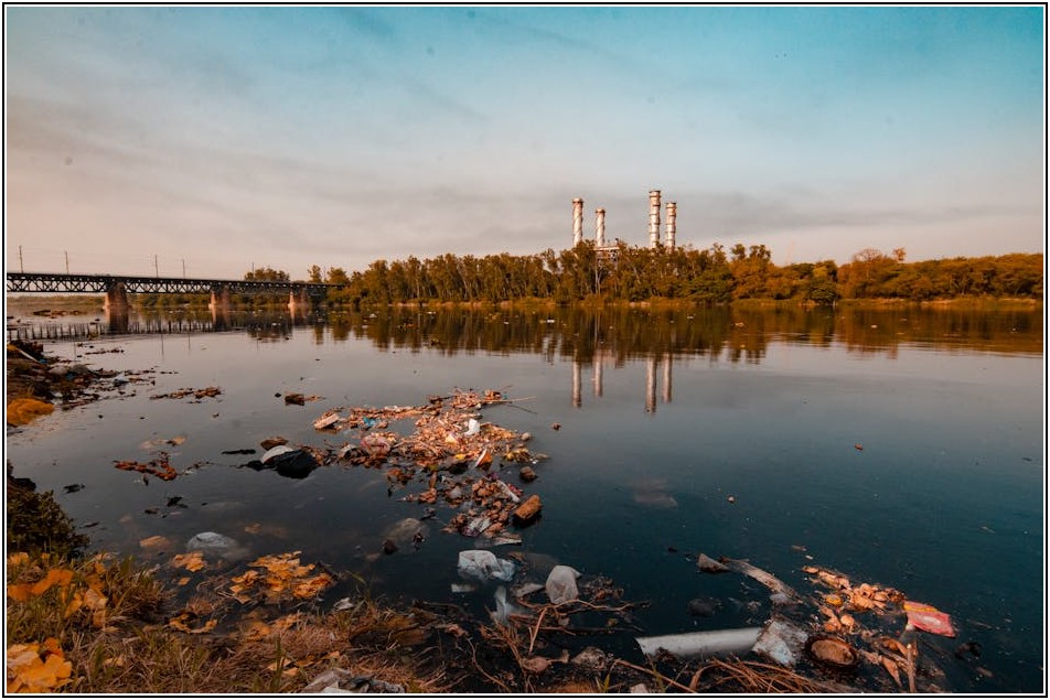 가정 폐기물, 종류별 합리적인 처리 비용 가이드