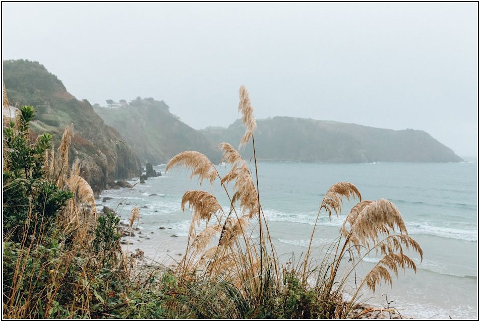 5대 로펌 합격 비결과 변호사 업무 환경, 솔직하게 알려드려요