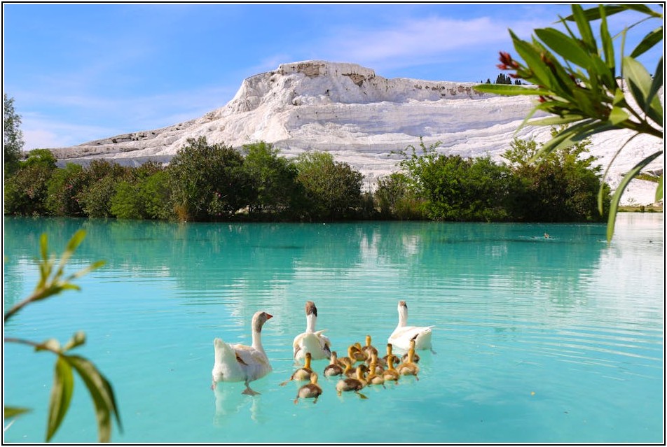 탄화칼슘, 정확히 알고 안전하게 활용하는 법