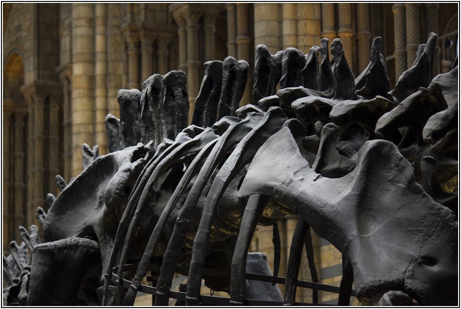 해외 전시회 마케팅, 실패 없이 성공하는 방법