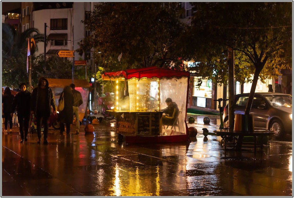 다양한 우산의 세계, 특징별 완벽 비교 분석