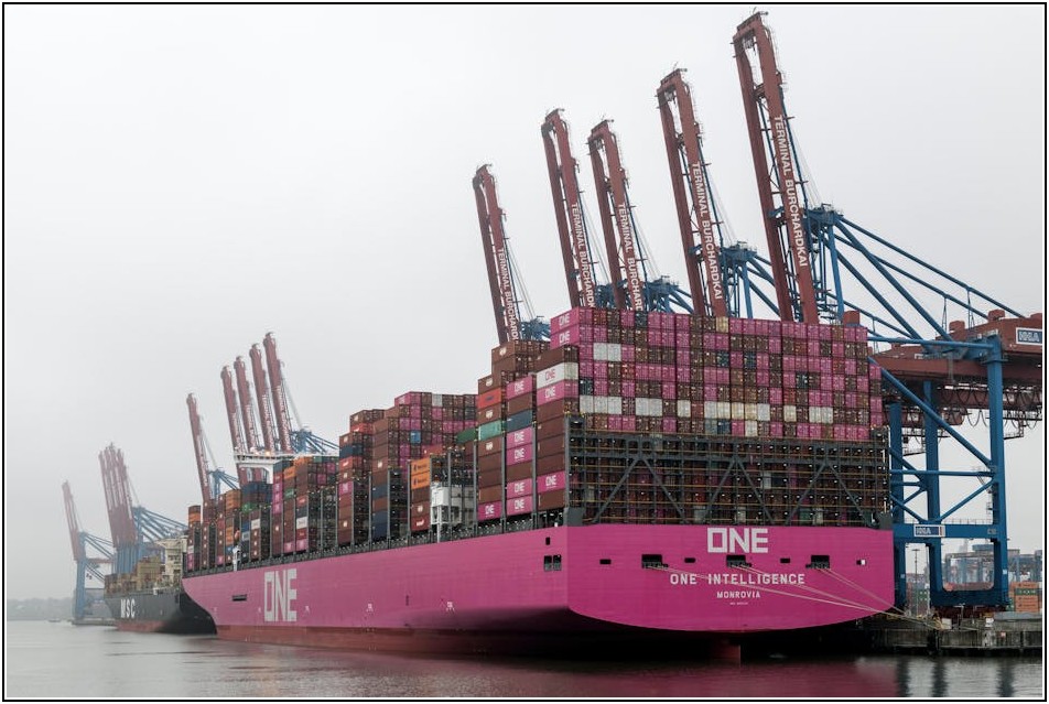 해외 배송, 이거 모르면 손해! 국제 물류 완벽 가이드