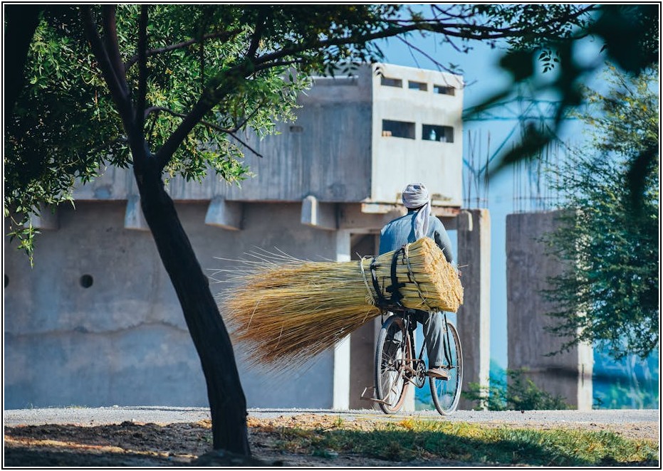 일상 속 필수템, 토스 인증서 활용 백서