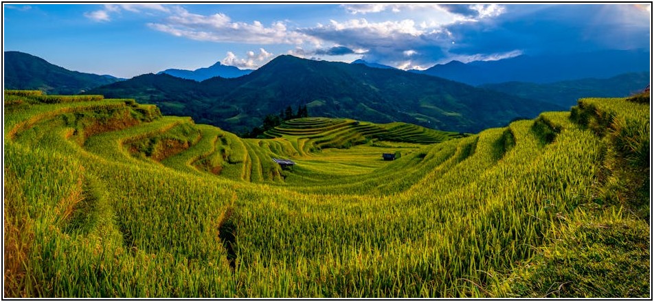 체형 고민 끝! 사당 PT와 함께하는 과학적인 자세 교정