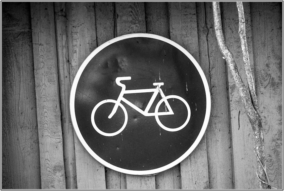 도로 위 무법자 되지 않는 법, 교통표지판 완벽 분석