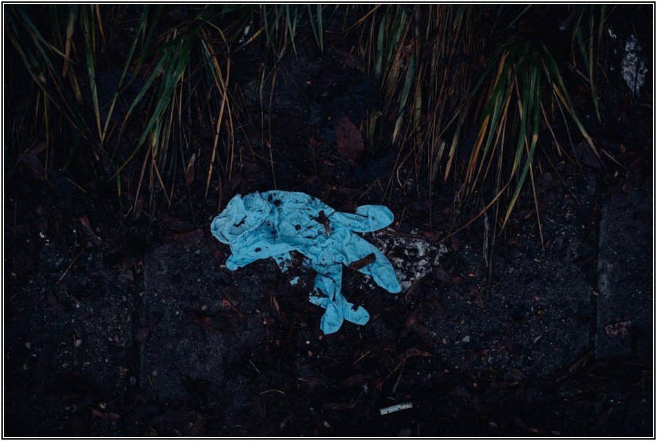 생활 폐기물 처리, 분리수거 완벽 가이드