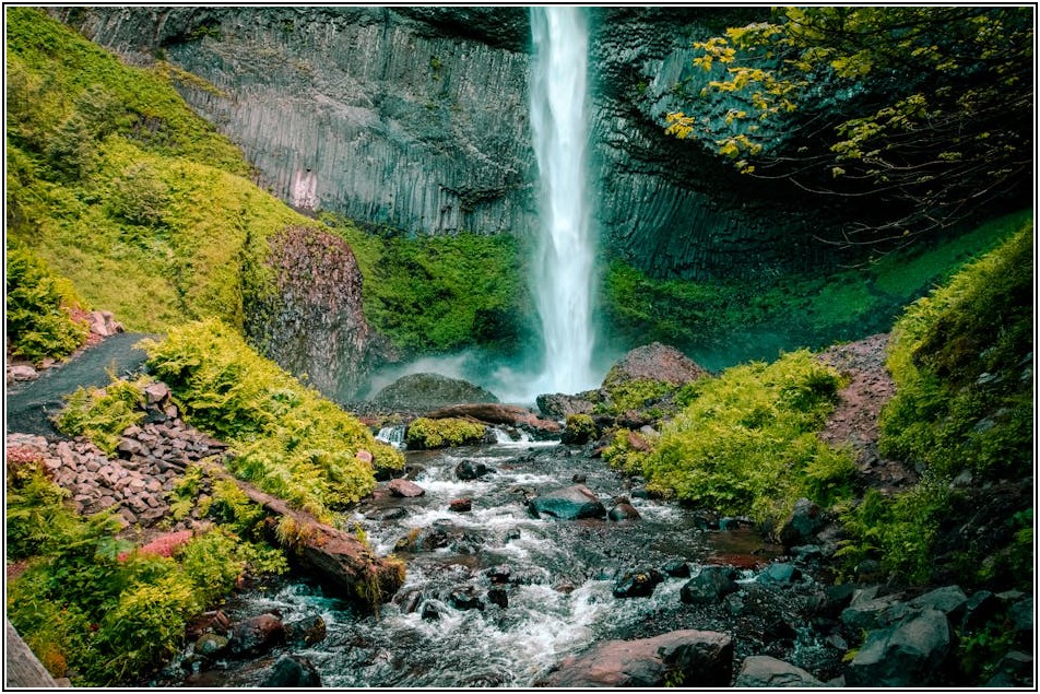 내 집 짓기, 어떤 목재를 골라야 할까? 수입 목재 정보 총정리