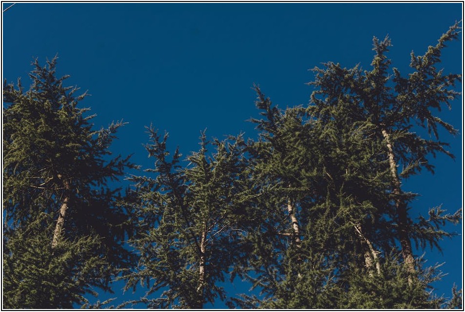 영주권 직접 준비, 이것만 알면 변호사 도움 필요 없어요