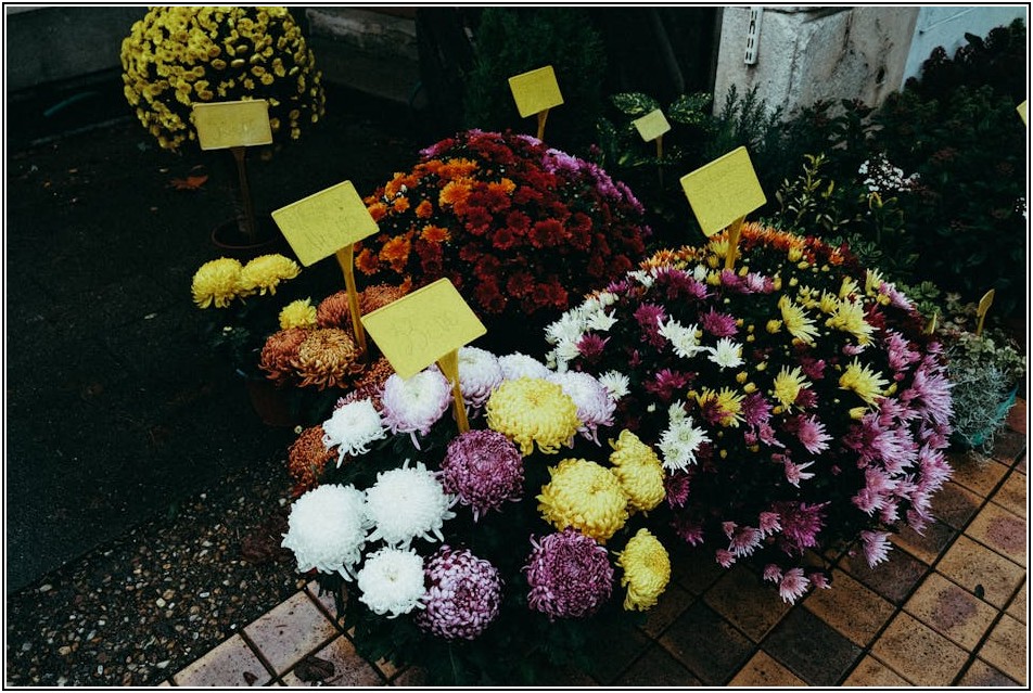 주제별 가을 환경판, 어렵지 않아요! 쉬운 꾸미기 팁