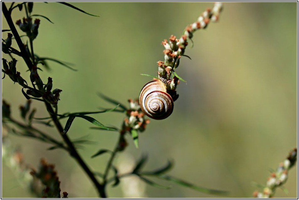 화재 순간, 생명을 지키는 내화도료의 비밀