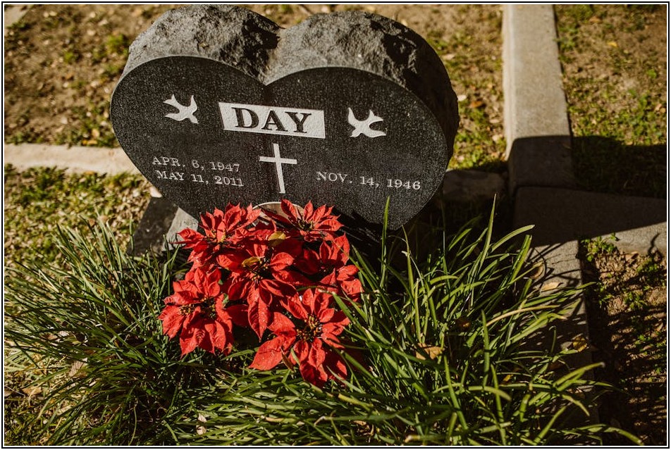 보훈보상대상자 혜택, 놓치면 후회할 핵심 정보 총정리