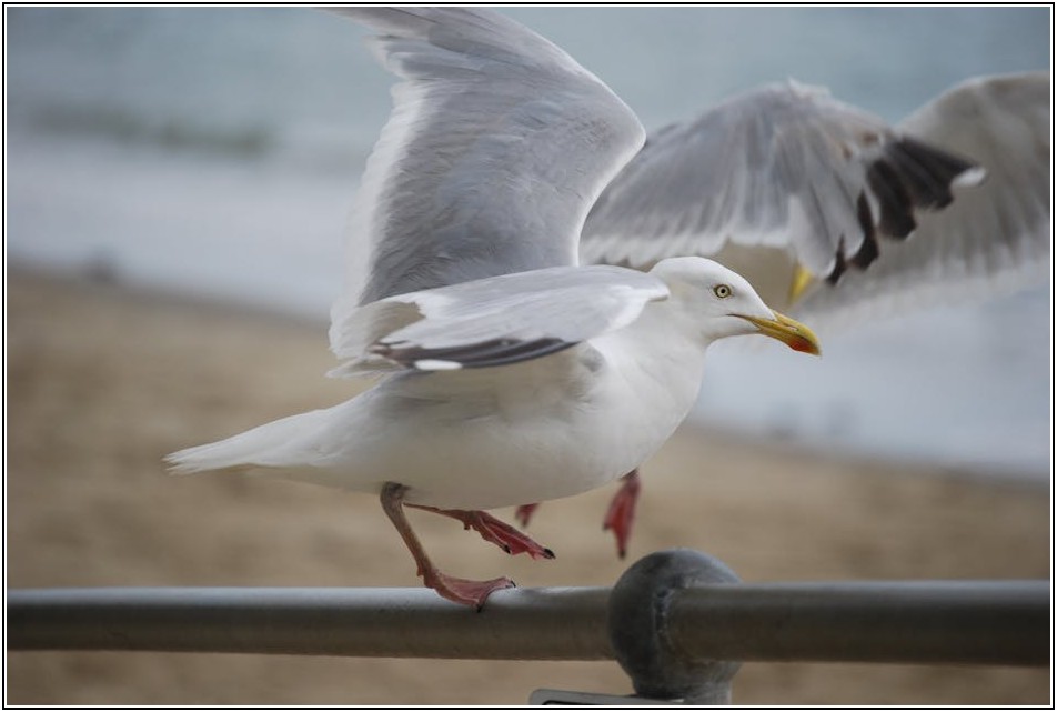 에어컨 무상 철거, 철거 후 냉매 회수 완벽 가이드
