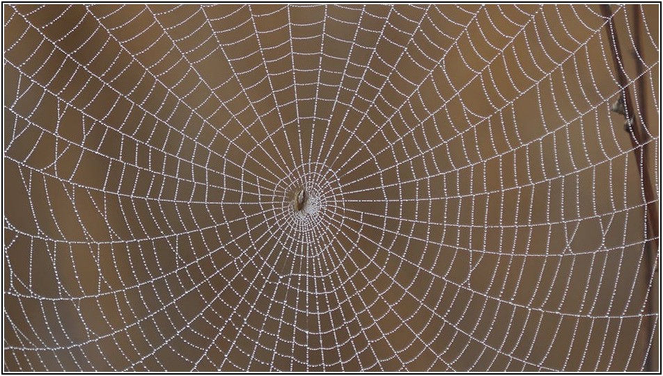 내 메시 와이파이, 얼마나 안전할까? 보안 강화 팁 총정리