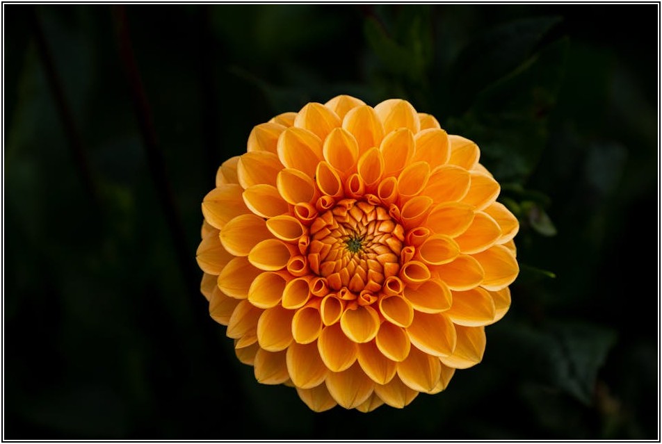 8월 공모주 투자, 경쟁률 분석부터 일정 확인까지