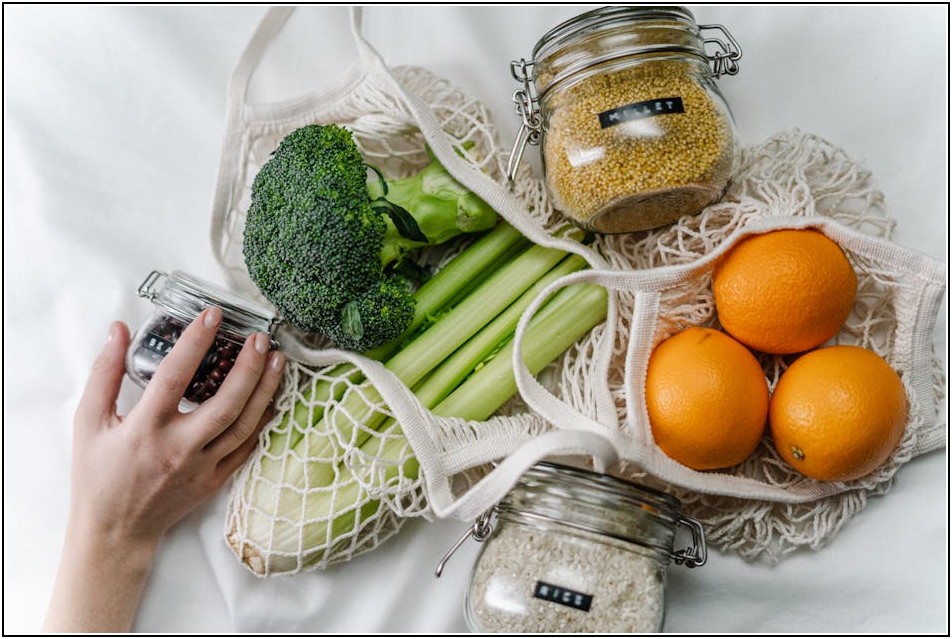 음식물 쓰레기 냄새, 벌레 문제? 이제 걱정 마세요