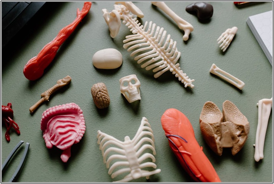 꿈을 현실로, 연구원이라는 직업의 모든 것