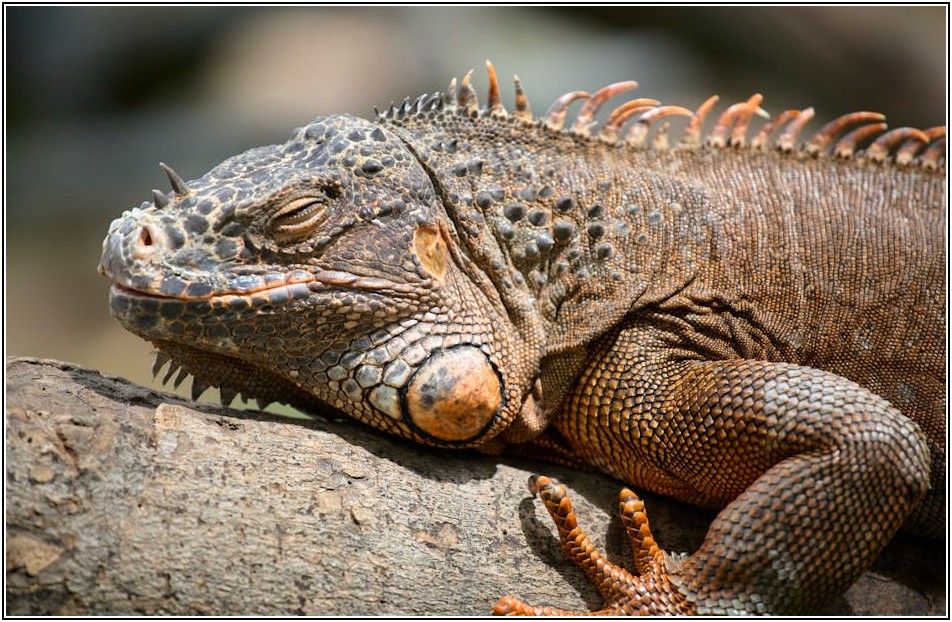 실전! 거래내역서 양식, 예시로 술술 써내기