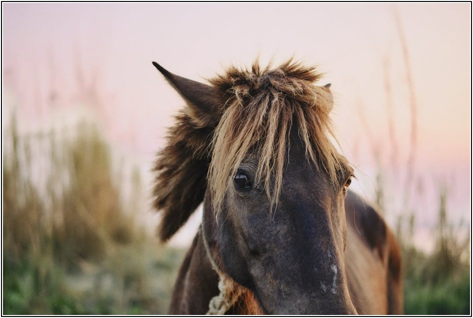 정부 지원으로 관광농원 성공하기: 필수 정보