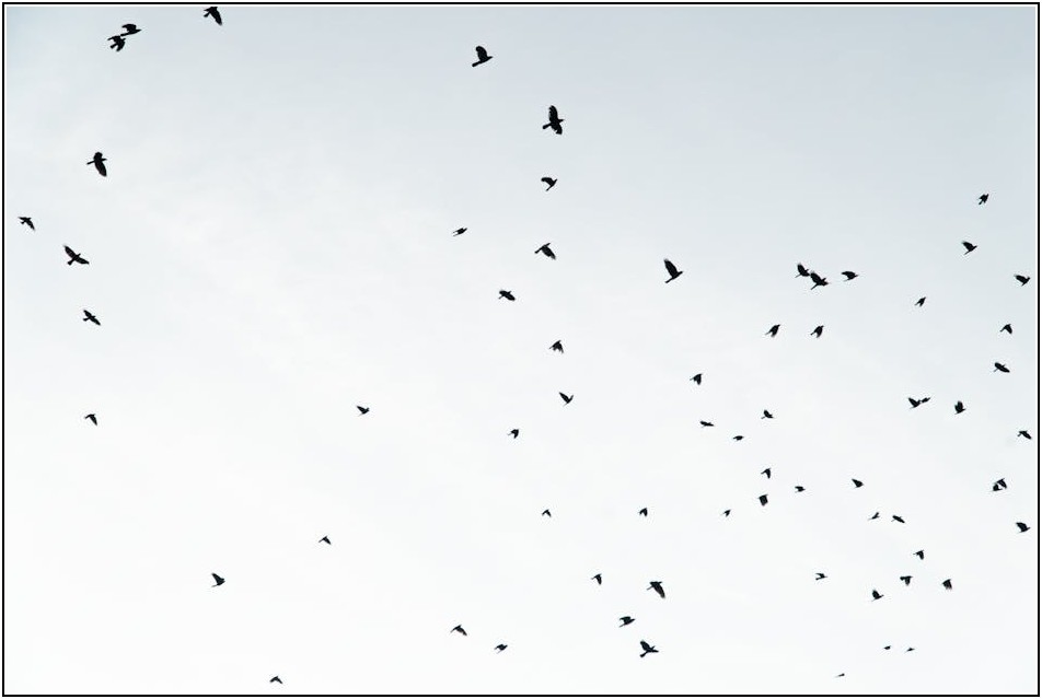 초보도 OK! 쉽고 간편한 무료 편집 앱 완벽 가이드