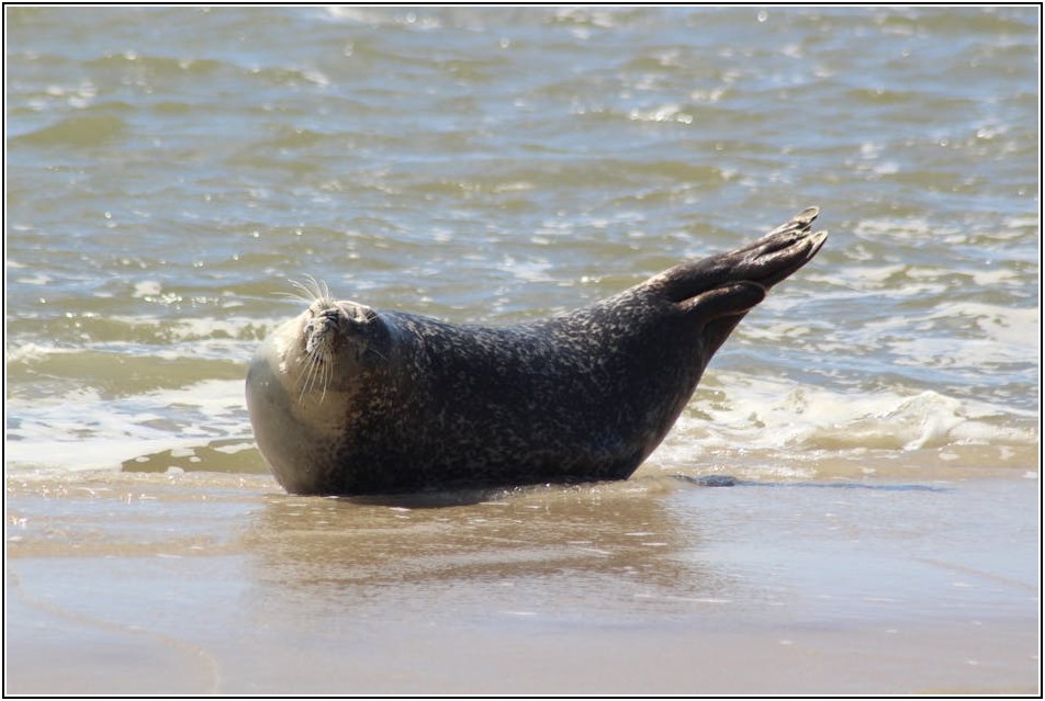 멋과 실용성을 갖춘 인감도장 제작, 지금 바로 알아보세요