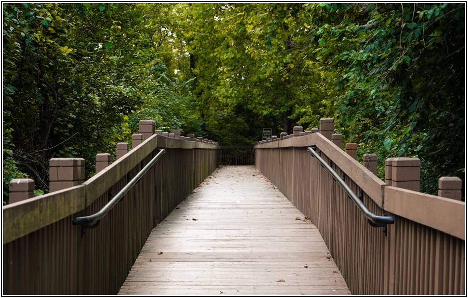 우리 집 정원, 원목 울타리로 감성 UP!