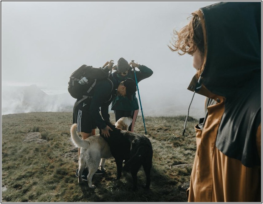 체험단 전문가 되기: 분야별 선택 노하우 총정리