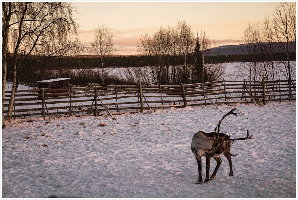 E10 비자 완벽 정복: 취업 계약부터 근로 조건까지