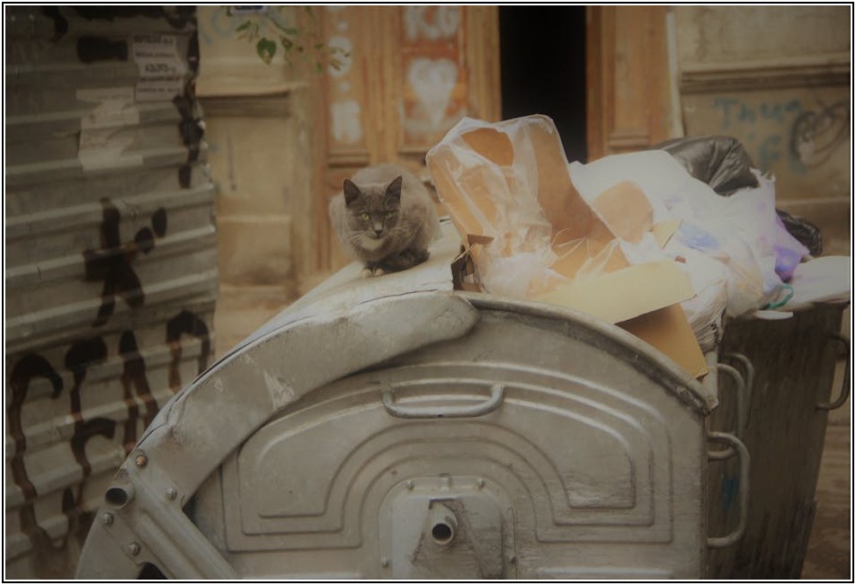 5리터 쓰레기통, 생활을 편리하게 만드는 숨은 기능