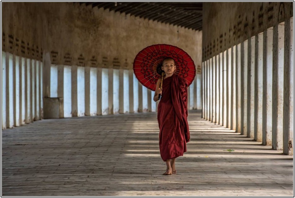 내 취향 저격 접이식 양산, 구매 전 꼭 알아야 할 모든 것