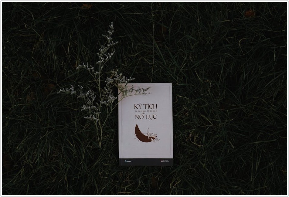 혼자서도 잘해요! 영어 독학, 최신 학습법 가이드