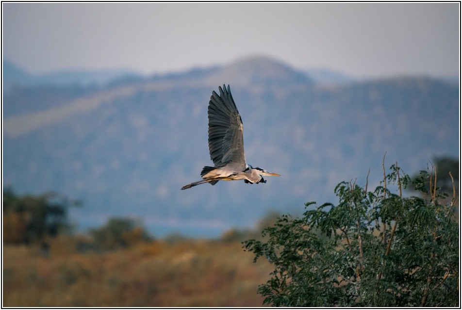 성공적인 인스타그램, 톤앤매너 설정으로 전문가처럼