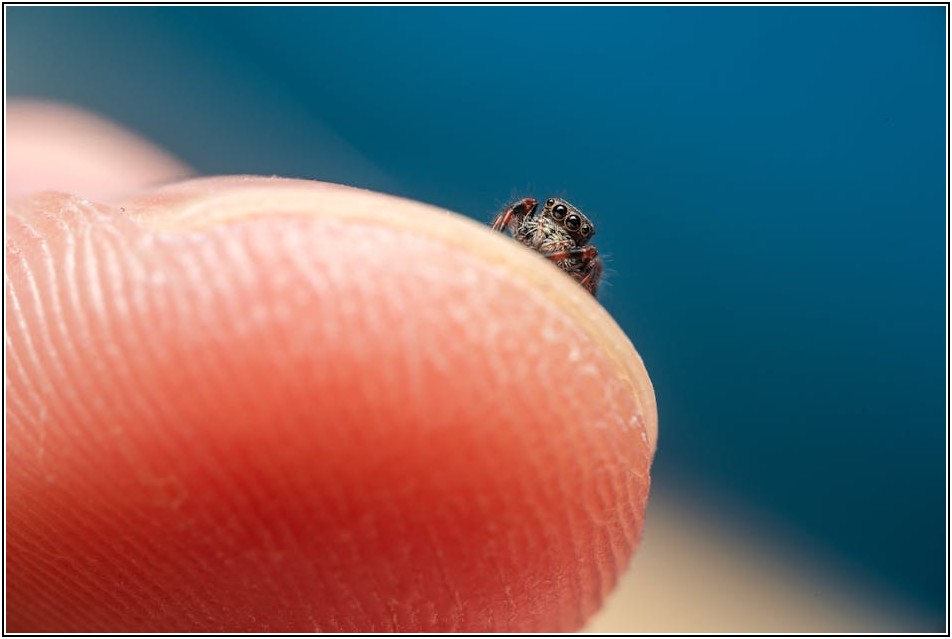 반도체 웨이퍼의 모든 것: 제조 공정과 최신 동향