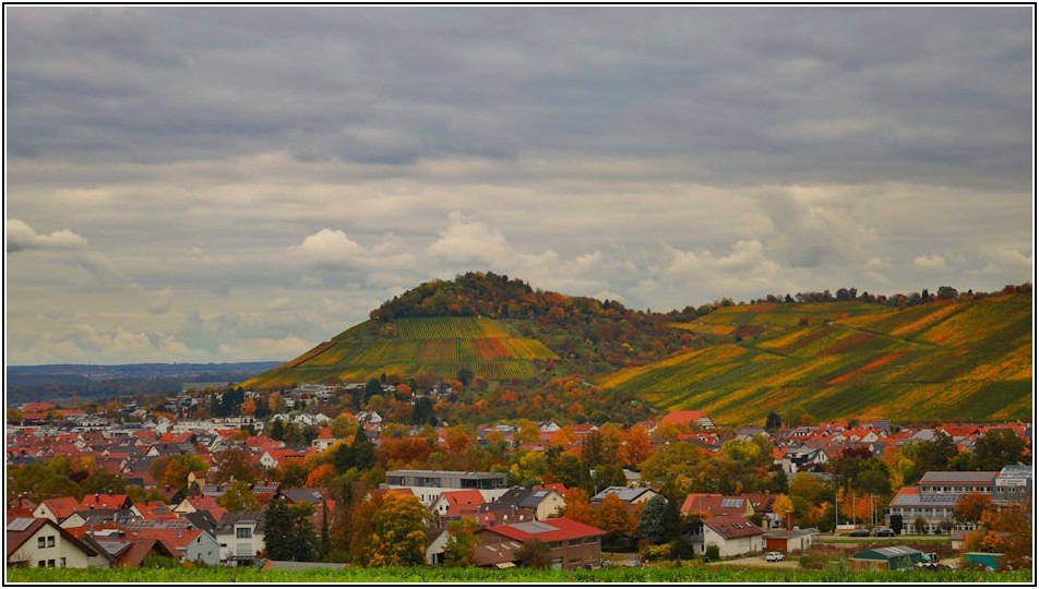 조경 면허 취득, 필기&middot;실기 시험 고득점 전략 완벽 분석