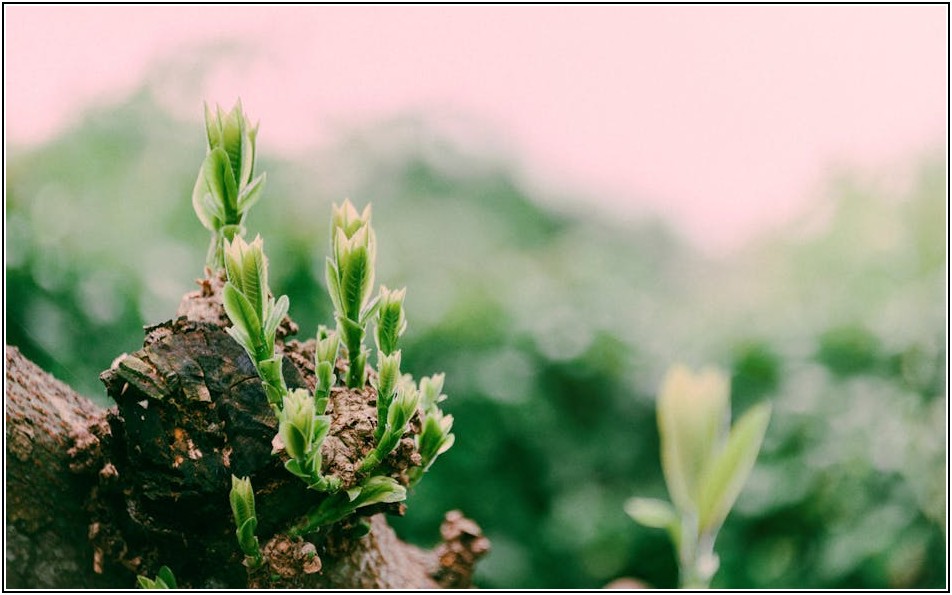 디지털 서명의 핵심, 범용 인증서 갱신 완벽 가이드