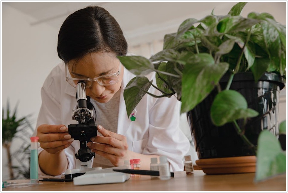 오픈소스 형태소 분석기 활용법: 개발 효율 극대화