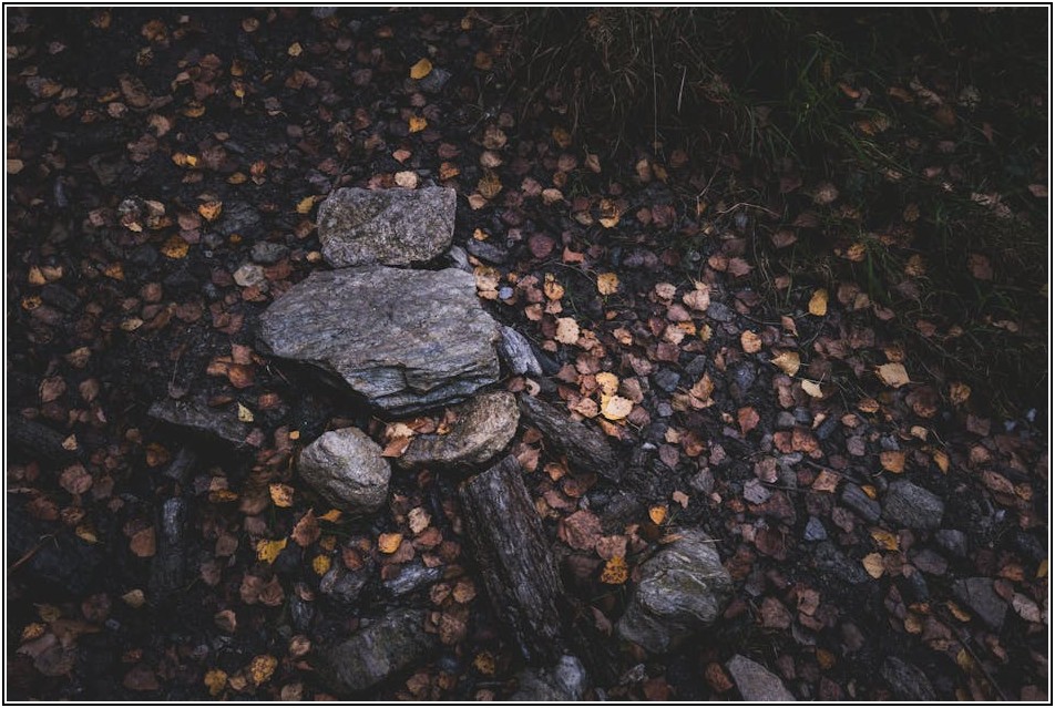 최고의 조경학원을 찾는 법: 강사진과 커리큘럼 분석